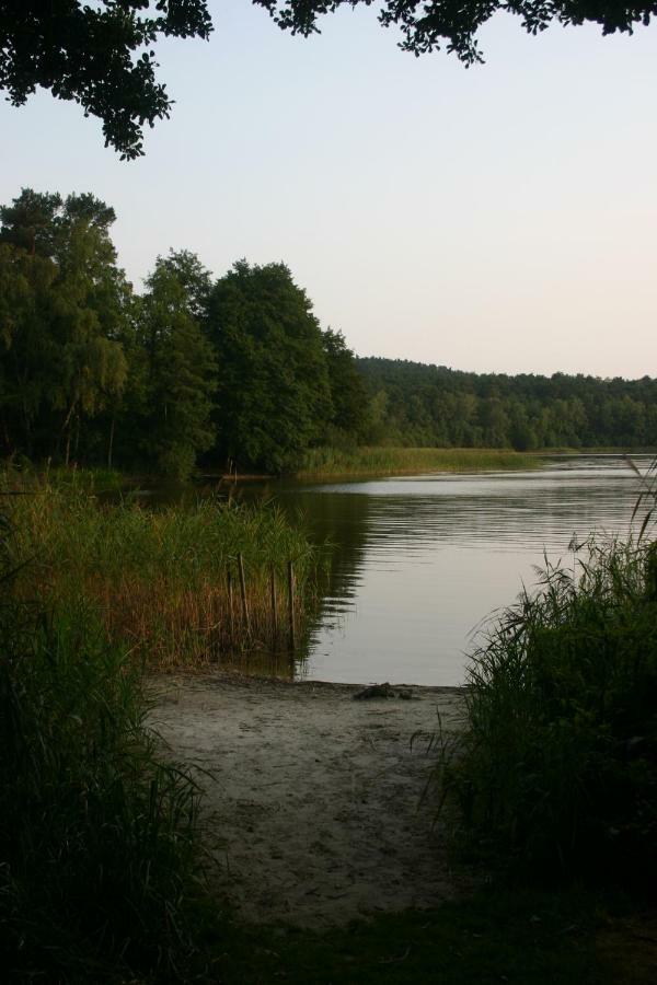 Ferienwohnung Am See 55 Bad Saarow Dış mekan fotoğraf