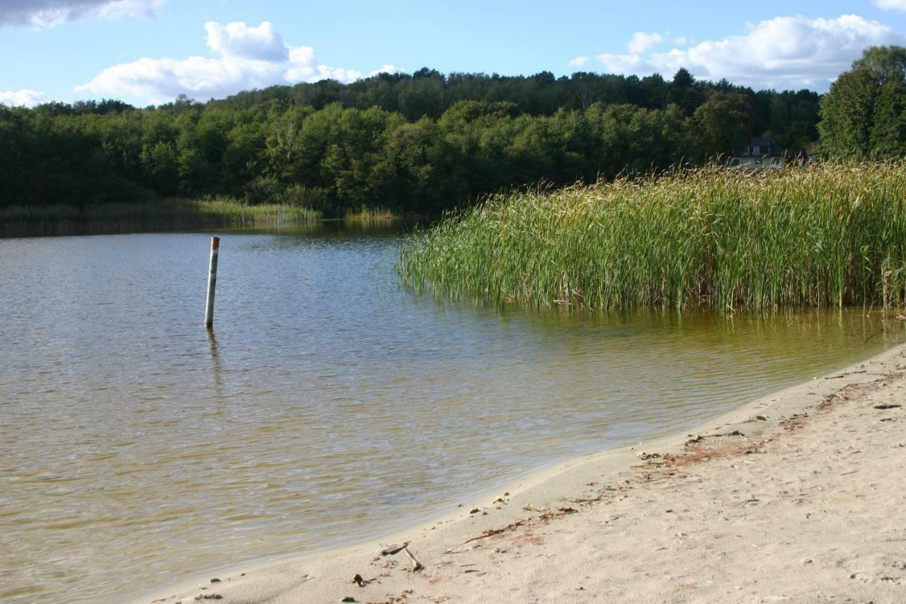 Ferienwohnung Am See 55 Bad Saarow Dış mekan fotoğraf